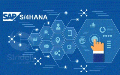 SAP ERP S4/HANA
