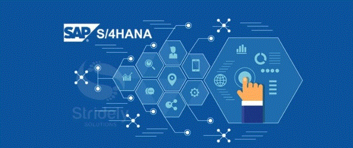 SAP ERP S4/HANA